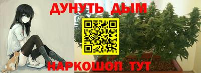 ешки Будённовск