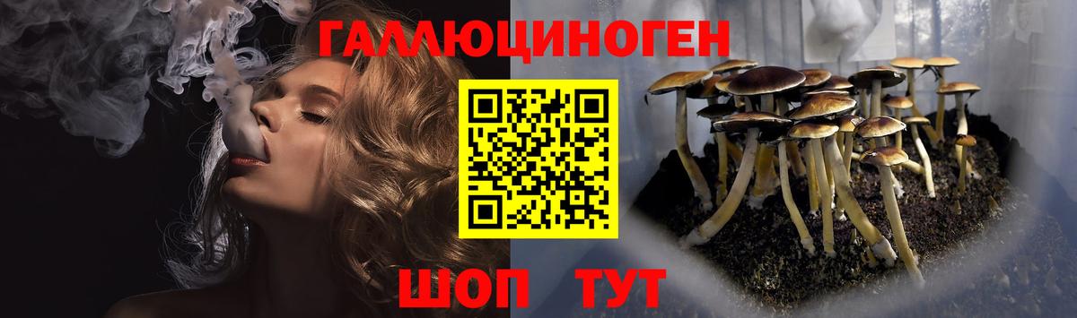 Псилоцибиновые грибы мицелий Каменка