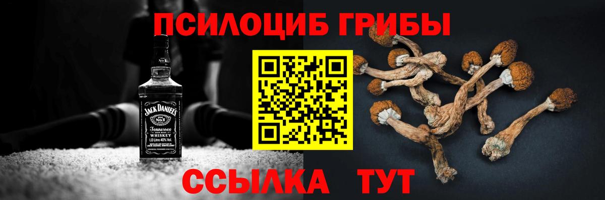 Псилоцибиновые грибы мицелий  Вход с VPN  Каменка 